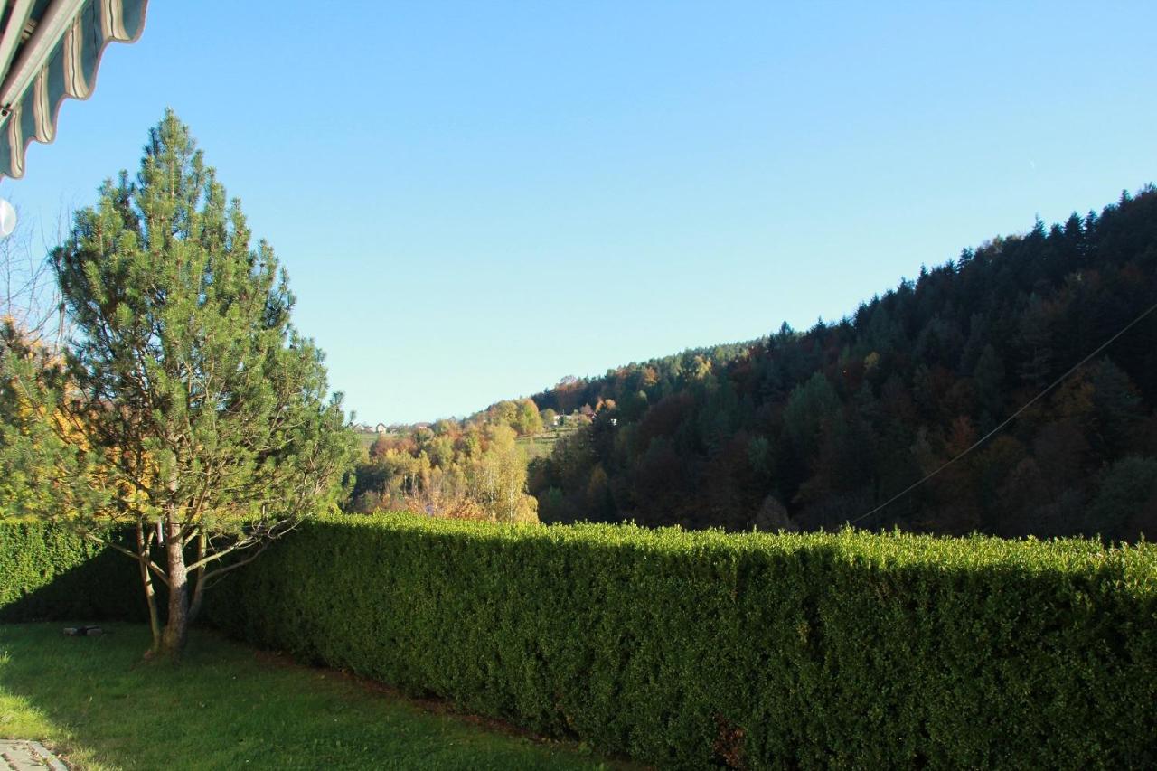 Letniskowa 10 Villa Czernichow  Exterior foto